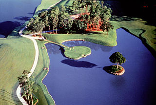 TPC Sawgrass 17 Hole